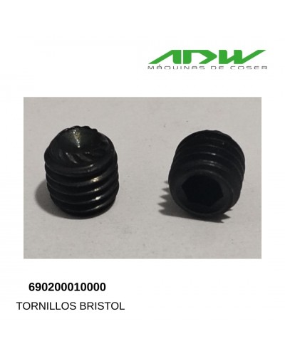 690200010000 - TORNILLOS BRISTOL